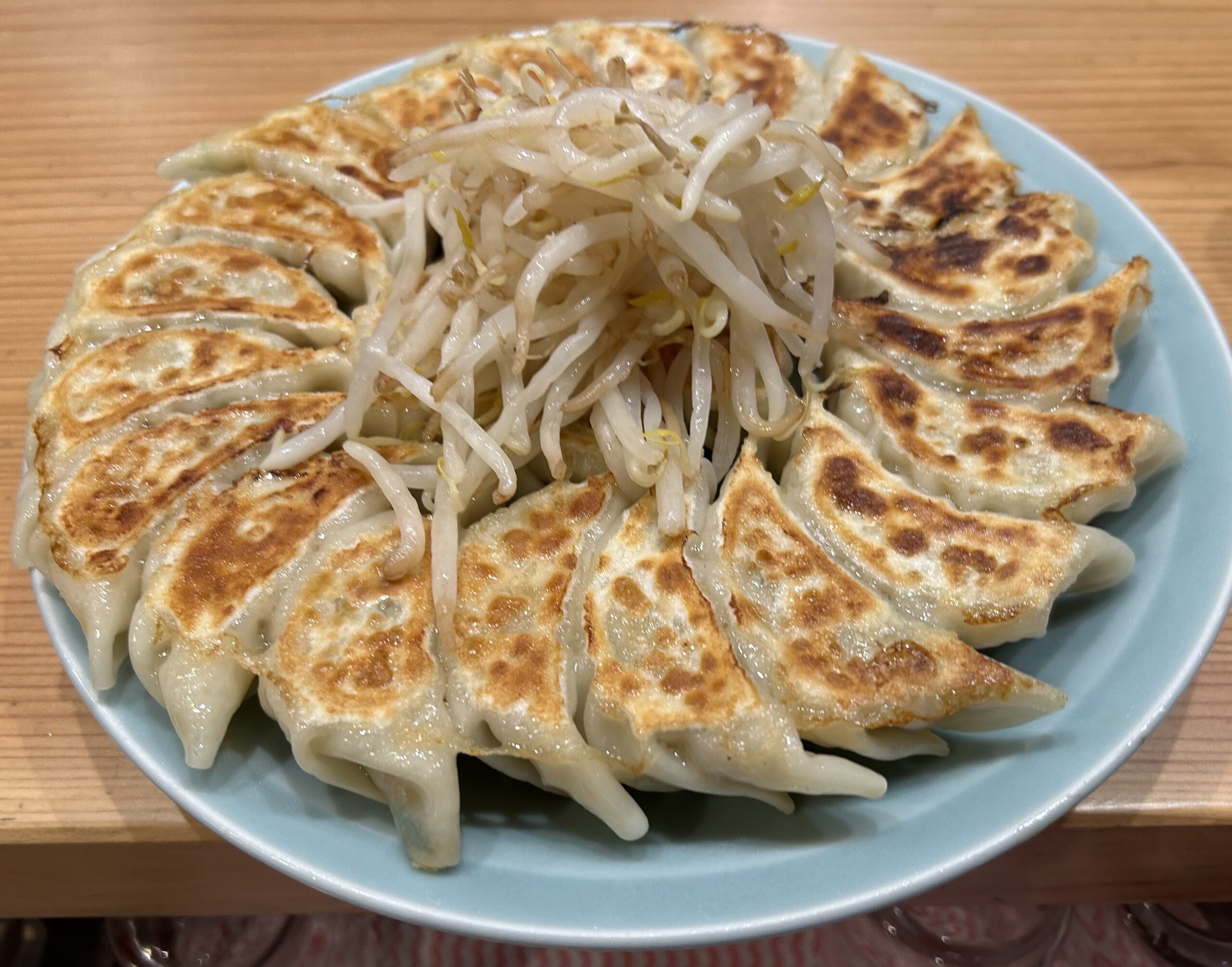 だもんで餃子